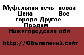 Муфельная печь (новая)  › Цена ­ 58 300 - Все города Другое » Продам   . Нижегородская обл.